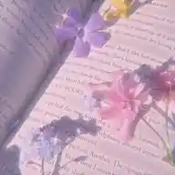🥀 WhatsApp Channel