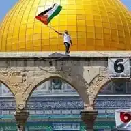المرکز الفلسطینی WhatsApp Channel