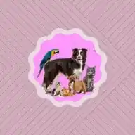 Alpha Vet Clinics Burundi WhatsApp Channel