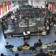 BBG Boxingclub WhatsApp Channel