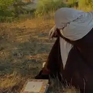 بين آيات القُرآن تستريِح النفوس المُتعبة. (القرآن الكريم) WhatsApp Channel