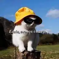 𝑬𝒒𝒖𝒊𝒔, 𝒔𝒐𝒎𝒐𝒔 𝒄𝒉𝒂𝒗𝒐𝒔. WhatsApp Channel
