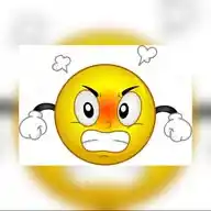 Flach-Erdler WhatsApp Channel