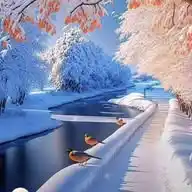 Global Parliament Of Peace WhatsApp Channel