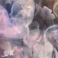 haszelna irl dump🎞️🗑️ WhatsApp Channel