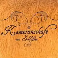 Kamerunschafe aus Schloßau DV WhatsApp Channel