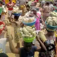 MBONGUI-KANDZA LIBERTÉ VÉRITÉ 242 WhatsApp Channel