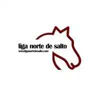 Liga Norte de Salto 2024 WhatsApp Channel