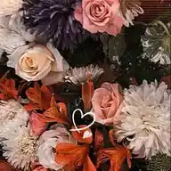 لُطفْ 🦋🫀 WhatsApp Channel