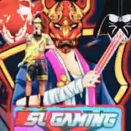 Nsl Gaming WhatsApp Channel