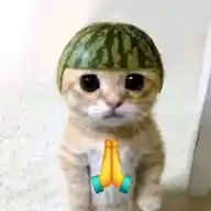 orang gabut WhatsApp Channel