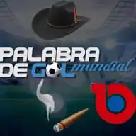 Palabra de Gool mundial - Canal 10 WhatsApp Channel