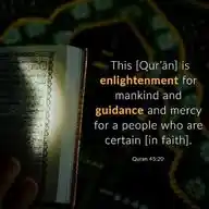 Qur'an: The way of Life. WhatsApp Channel