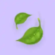 رؤية WhatsApp Channel
