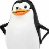 Sh1tpost Do Pinguin WhatsApp Channel