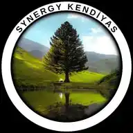 SynergyKendiyas  WhatsApp Channel