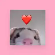 ✍🏻Una Frase Más ♥️ WhatsApp Channel