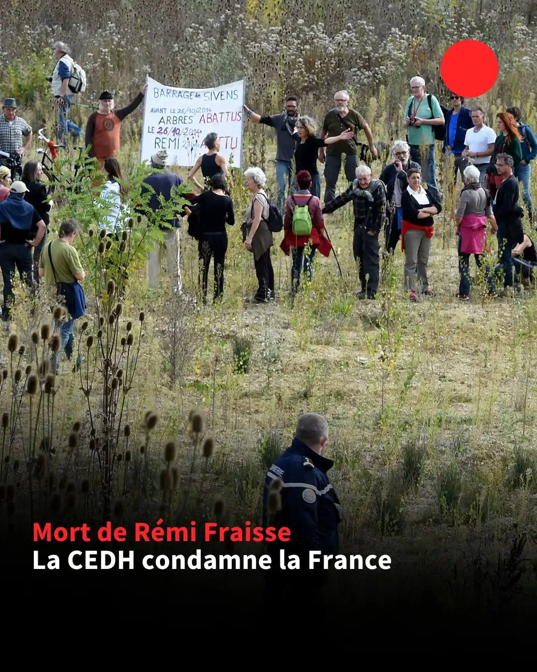 Image from AFP (Agence France-Presse): ⚖️  *La Cour européenne des droits de l'Homme a condamné la France* po...