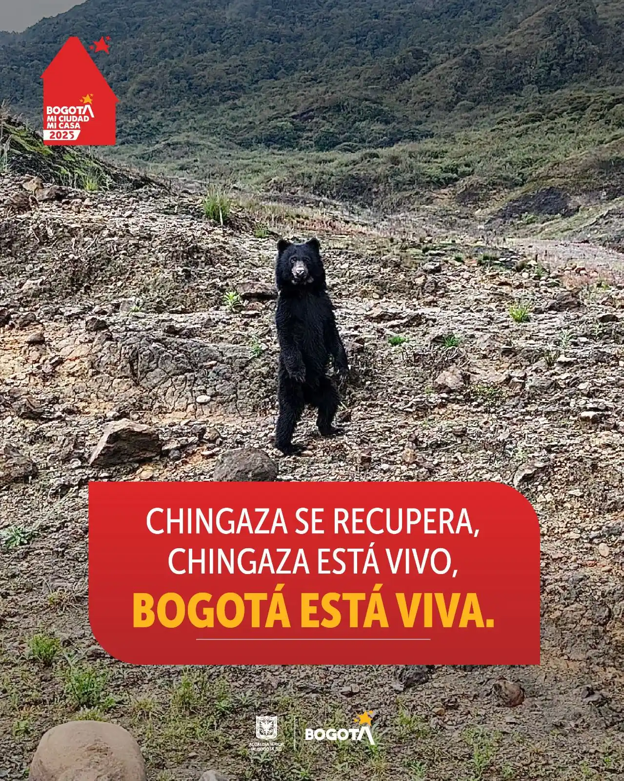 Image from Alcaldía Mayor de Bogotá: *Chingaza se recupera, Chingaza está vivo, Bogotá está viva.*  El Parq...
