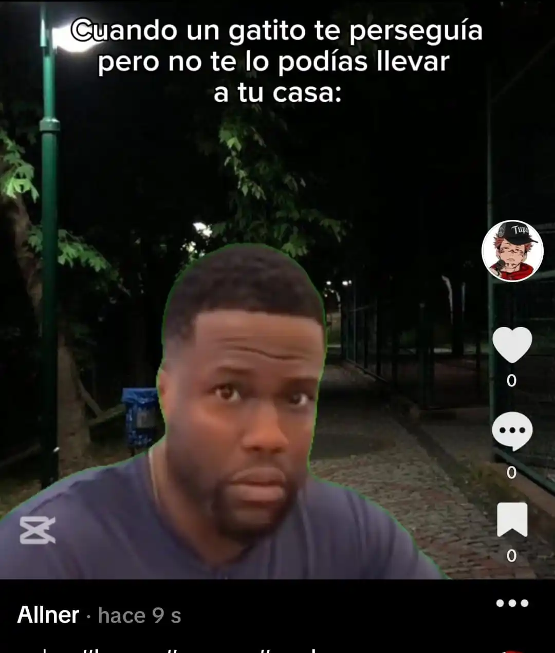 Allner Chico Tranquilo post
