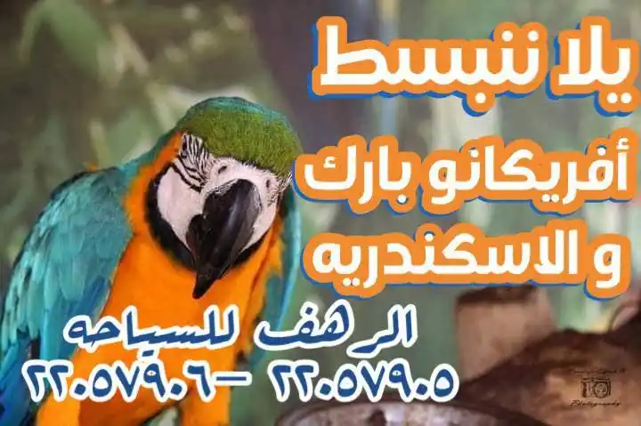Image from الرهف للسياحة: 🚌الرهف للسياح عندها كل الجديد 🚍 🦁يلا بينا على رحلة الادغال 🦁 🙊افر...