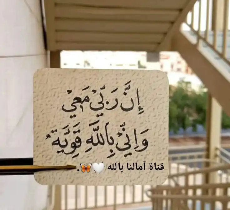 آمـالـنـا بـالـلَّـه🤍🦋||● قران أناشيد اقتباسات علم دين حديث عبارات اسلام ميمز ديني صور حب🤍🦋. post