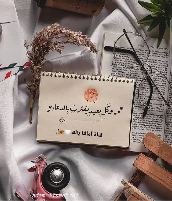 آمـالـنـا بـالـلَّـه🤍🦋||● قران أناشيد اقتباسات علم دين حديث عبارات اسلام ميمز ديني صور حب🤍🦋. post