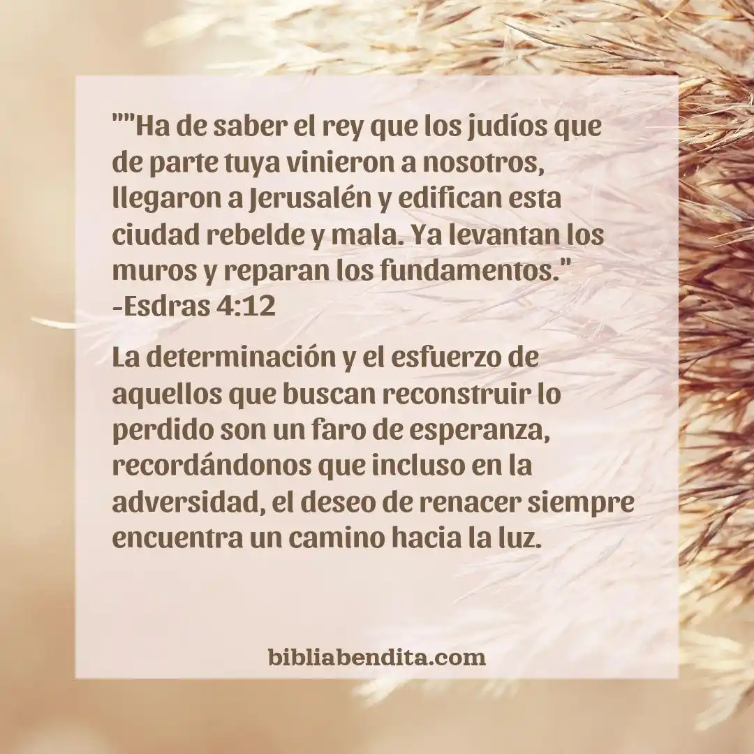 Bibliabendita.com post