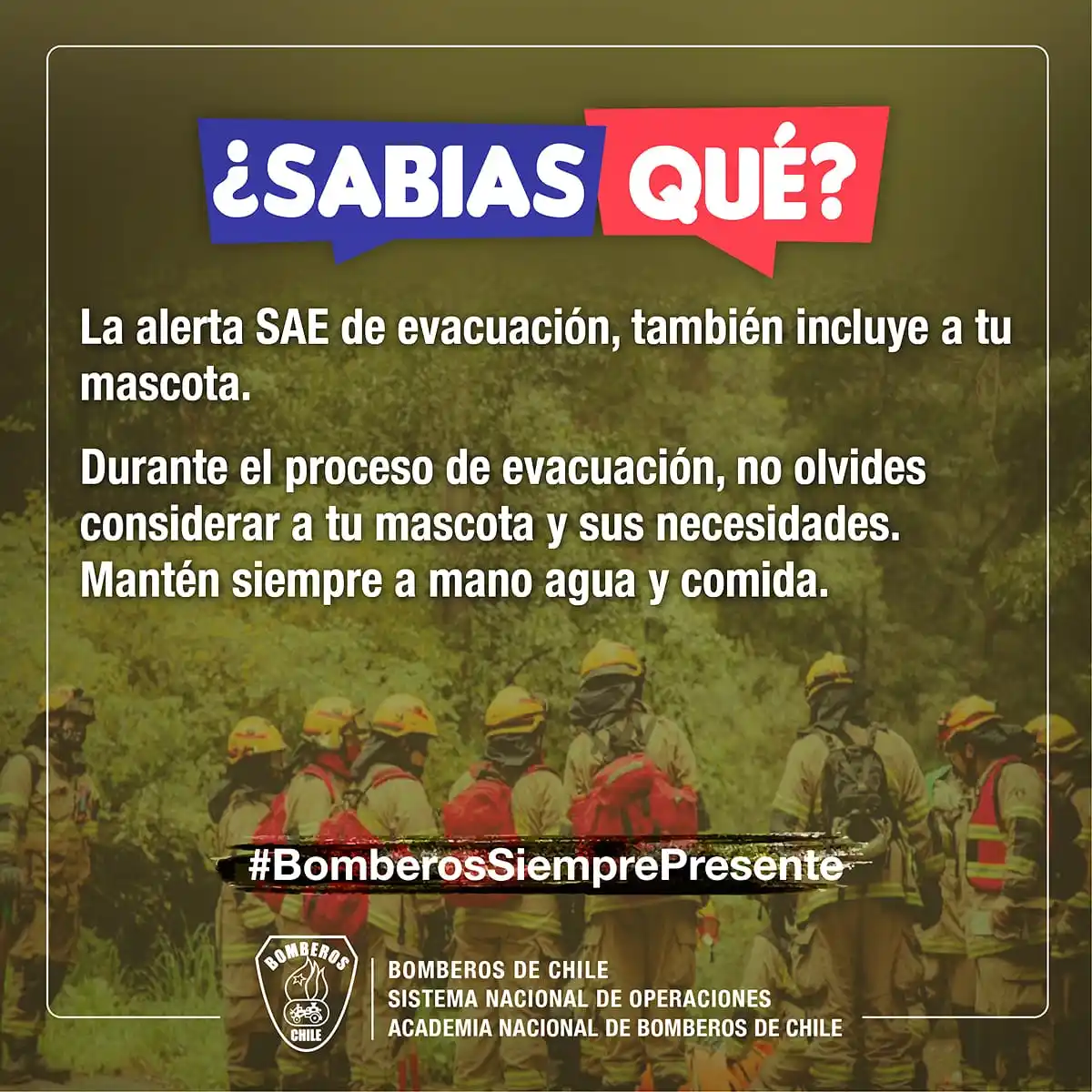 Image from Bomberos de Chile: ¿𝗦𝗮𝗯𝗶𝗮𝘀 𝗾𝘂𝗲? La alerta SAE de evacuación, también incluye a t...