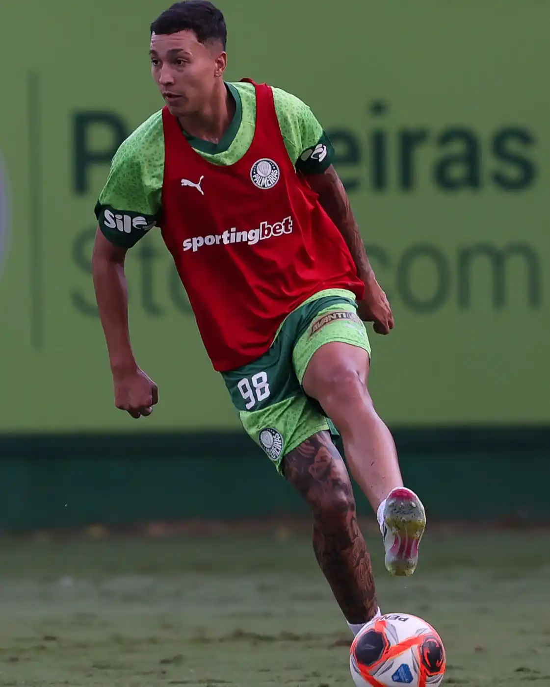 Canal do Palmeiras post