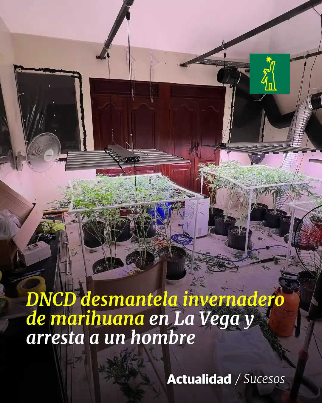 Image from Diario Libre: 🚨 *| <a class="text-blue-500 hover:underline cursor-pointer" href="/h...
