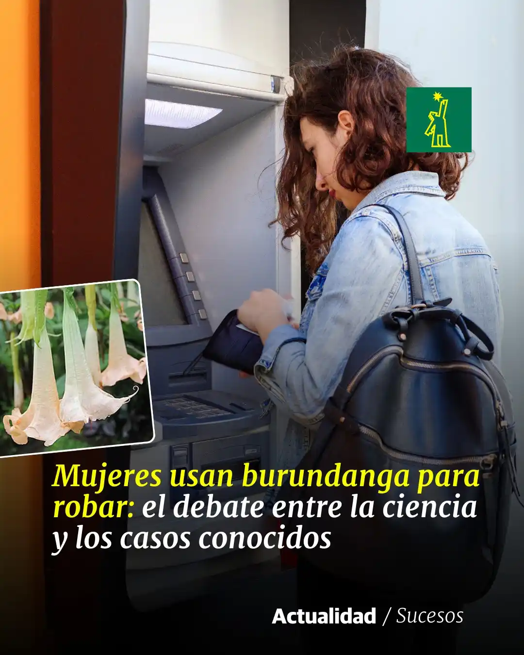 Image from Diario Libre: 🚨 *| <a class="text-blue-500 hover:underline cursor-pointer" href="/h...
