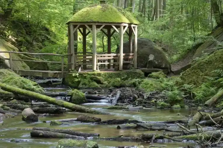 Image from Die RHEINPFALZ : *Sorge um Wasserqualität in Pfälzer Flüssen* Bis 2027 müssen Gewässer ...