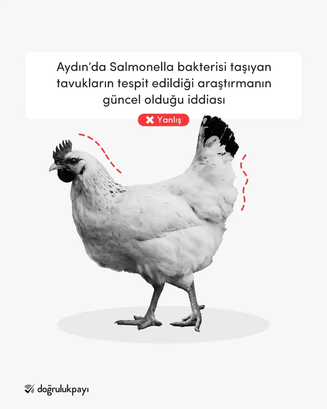 Image from Doğruluk Payı: Aydın'da salmonella bakterisi taşıyan tavukların tespit edildiği araşt...