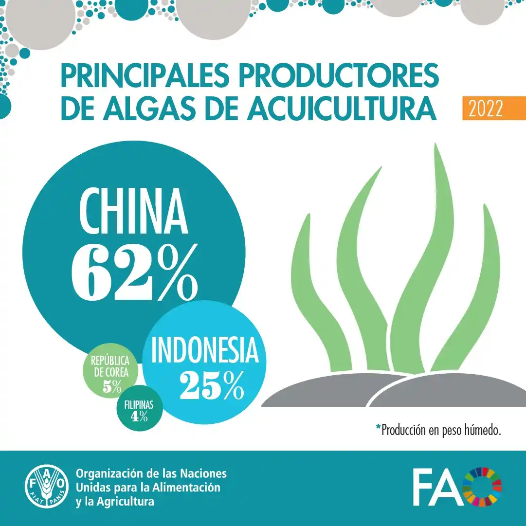 FAO en español  post