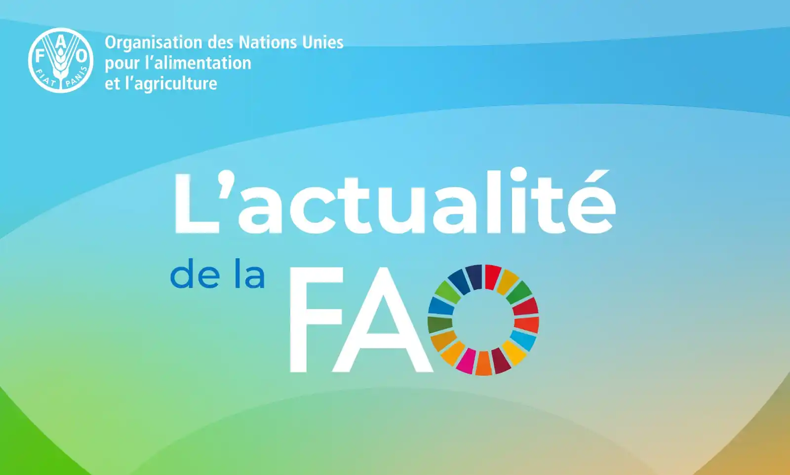 FAO en français post