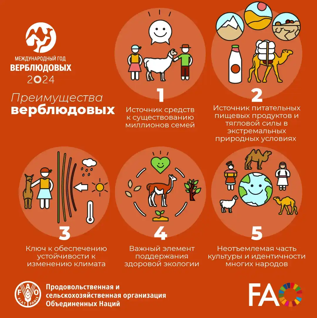 ФАО на русском post