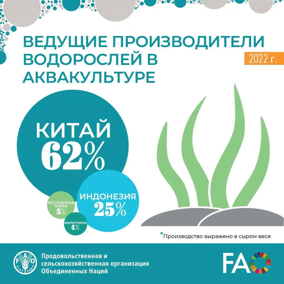 ФАО на русском post