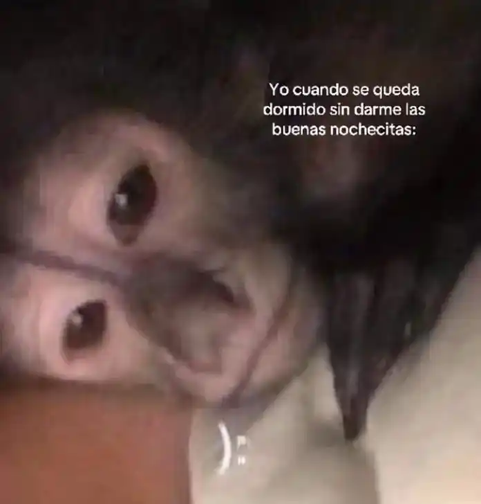 𝗦𝗧𝗜𝗖𝗞𝗘𝗥𝗦 𓆩🩶𓆪          ROLAS,𝗩𝗜𝗗𝗘𝗢𝗦 , 𝗠𝗨𝗦𝗜𝗖𝗔 , 𝗠𝗘𝗠𝗘𝗦 , 𝗙𝗥𝗔𝗦𝗘𝗦, 𝗜𝗡𝗗𝗜𝗥𝗘𝗖𝗧𝗔𝗦 MÉXICO :) post