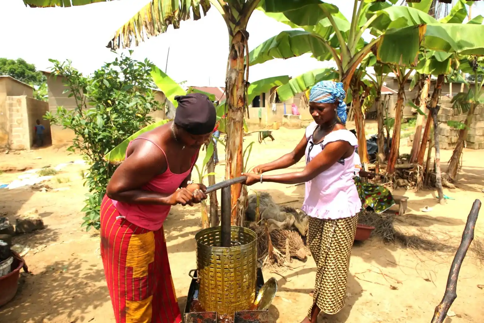Image from Gouvernement de Côte d’Ivoire: *<a class="text-blue-500 hover:underline cursor-pointer" href="/hashta...