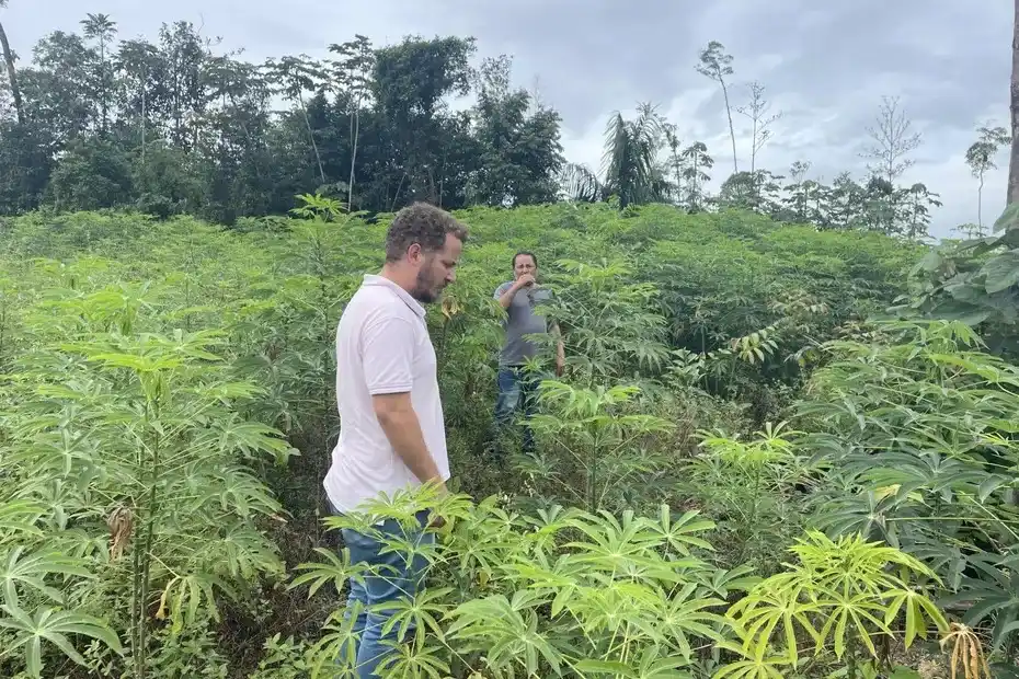 Image from Guyane La 1ère: 🟡Dernier volet de notre série de reportages dans l’Amapa. De Macapa à...
