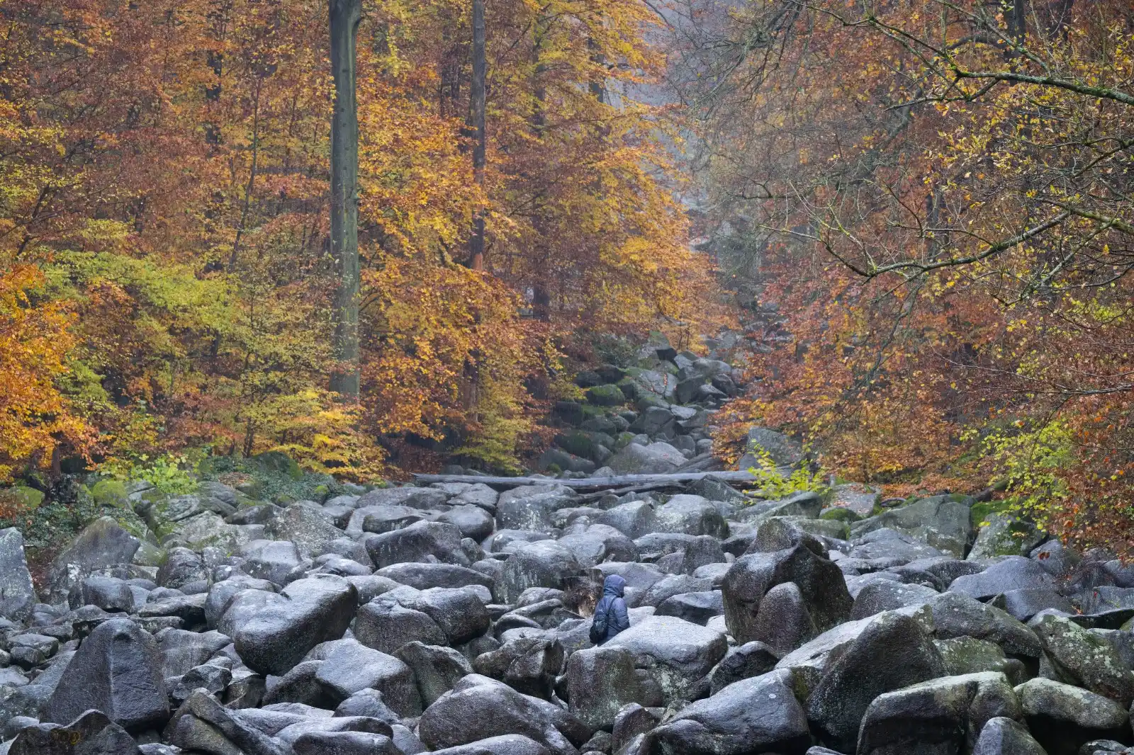 Image from HIT RADIO FFH: *Nass ist es heute Morgen* 🌧️ – nicht nur im Felsenmeer im Odenwald, ...