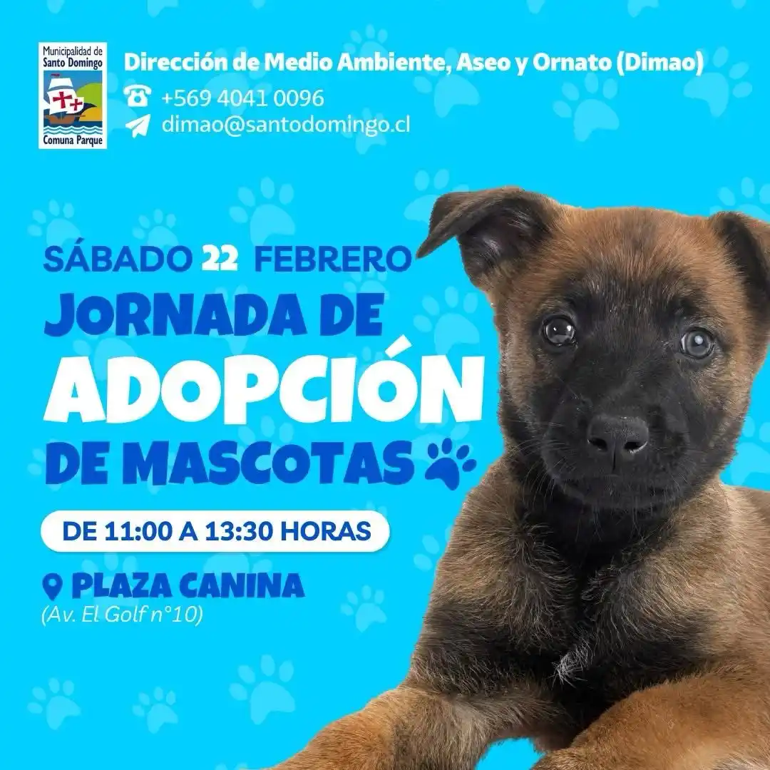 Image from Ilustre Municipalidad de Santo Domingo: 🐾 Invitamos a una nueva jornada de adopción de mascotas, el sábado 22...