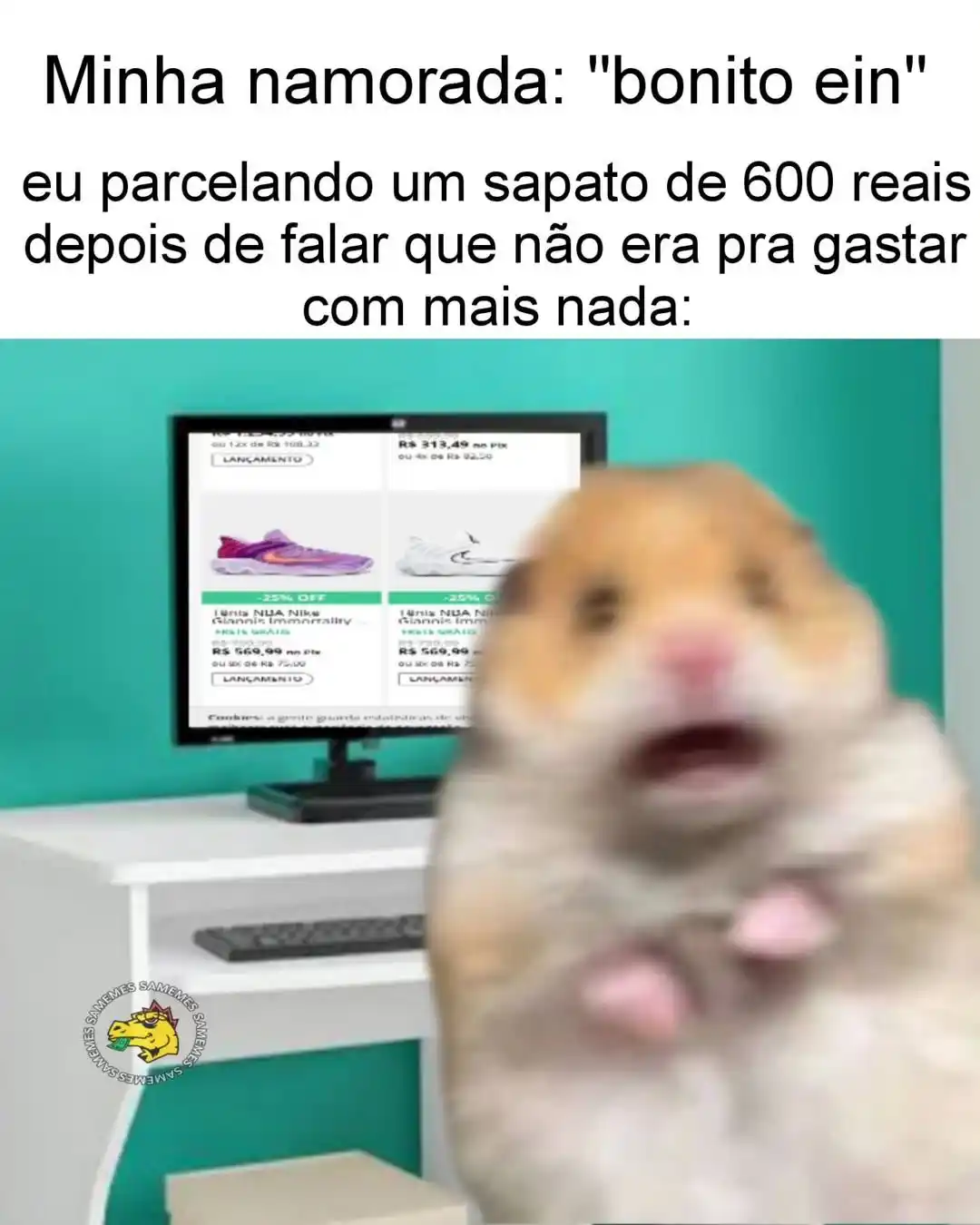 Lixeira Memes post