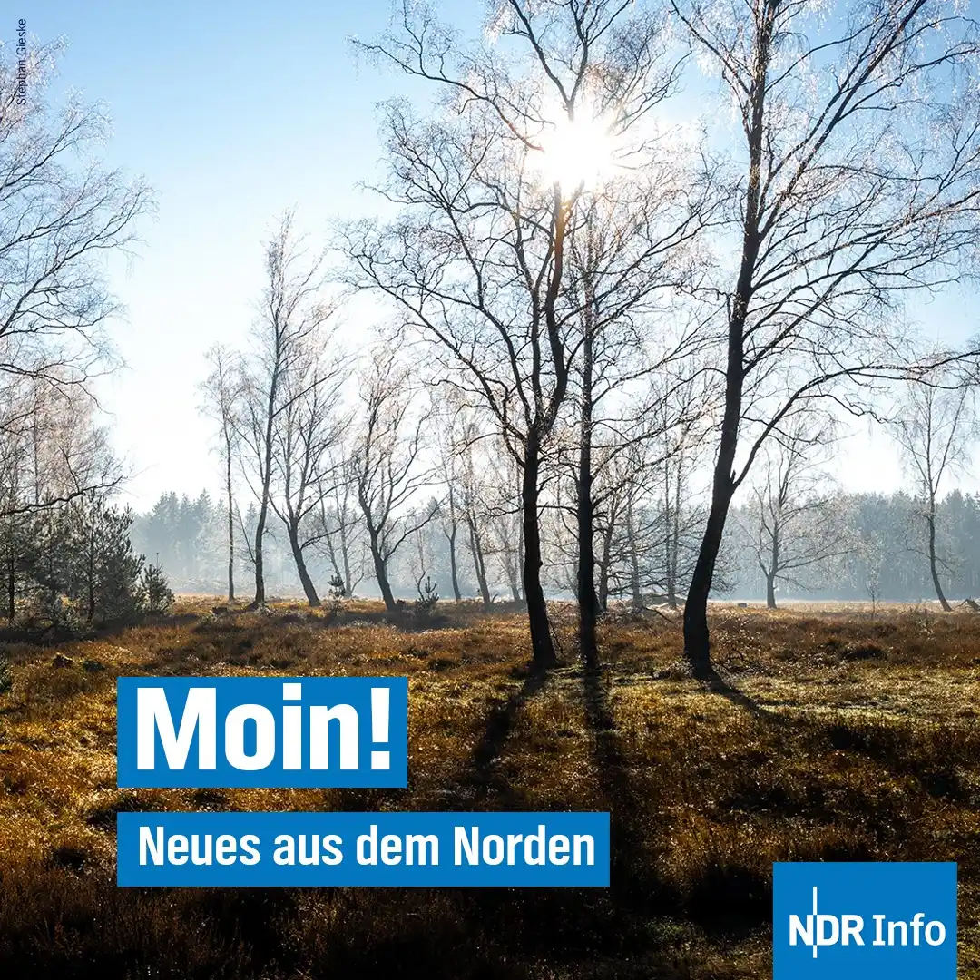 Image from NDR Info: ☀ Mild, sonnig, trocken: Der zu Ende gehende *Winter* brachte keine ne...