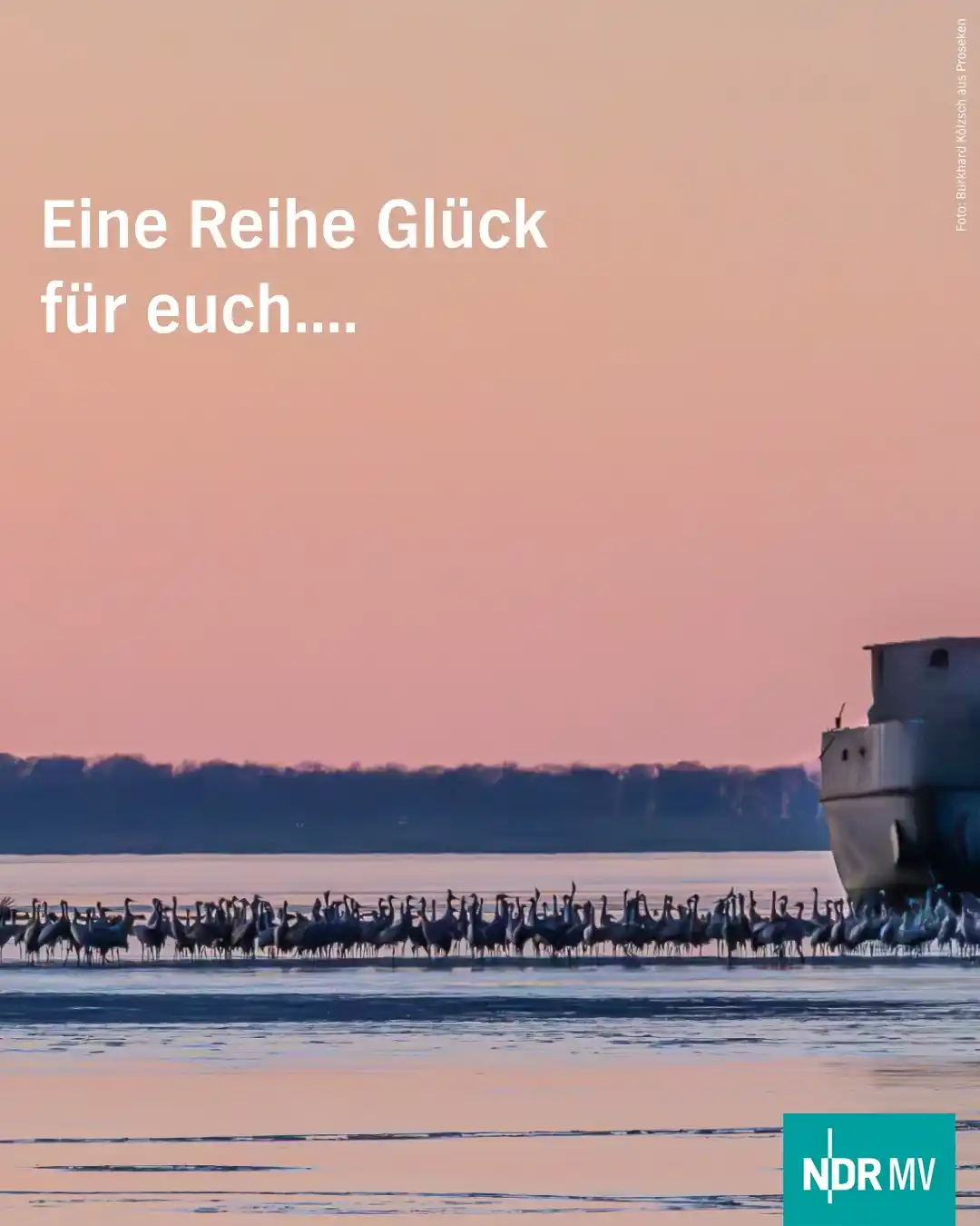 Image from NDR MV Nachrichten: 😍 Guten Morgen ihr Lieben! Startet gut in den kleinen Freitag und wir...