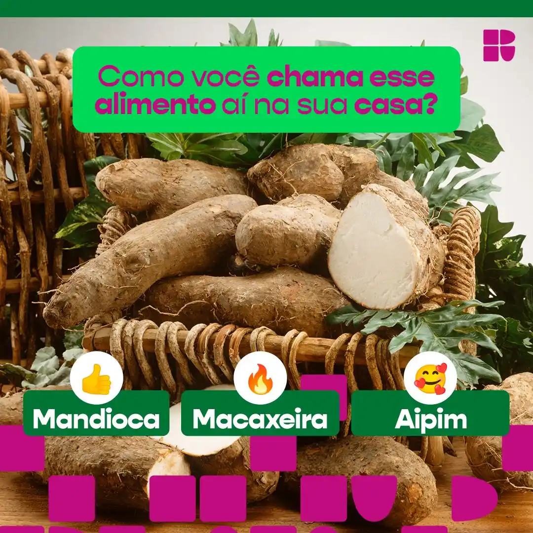 Image from Receitas: E agora, grupo? *O certo é mandioca, macaxeira ou aipim*? 👀...