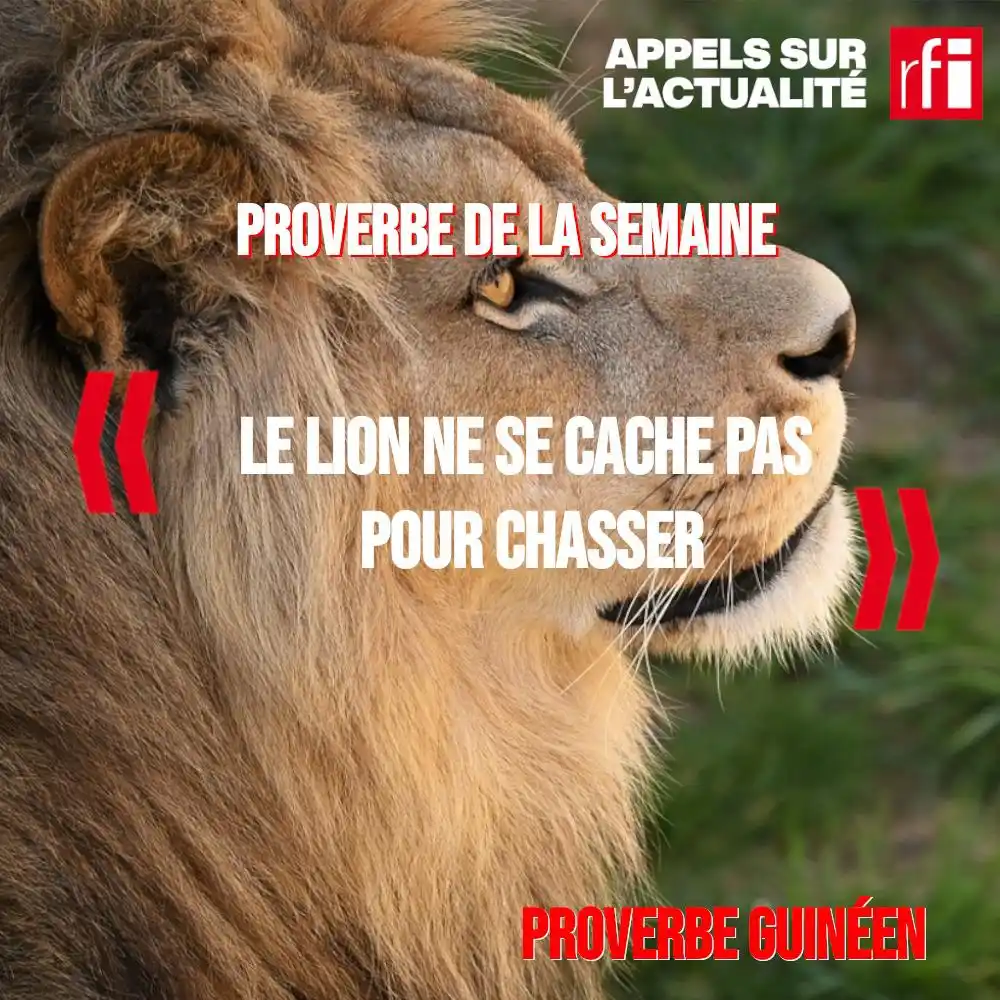 RFI Appels sur l'actualité📻🎤 post