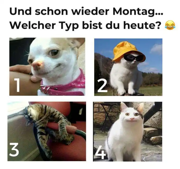 ROSSMANN post