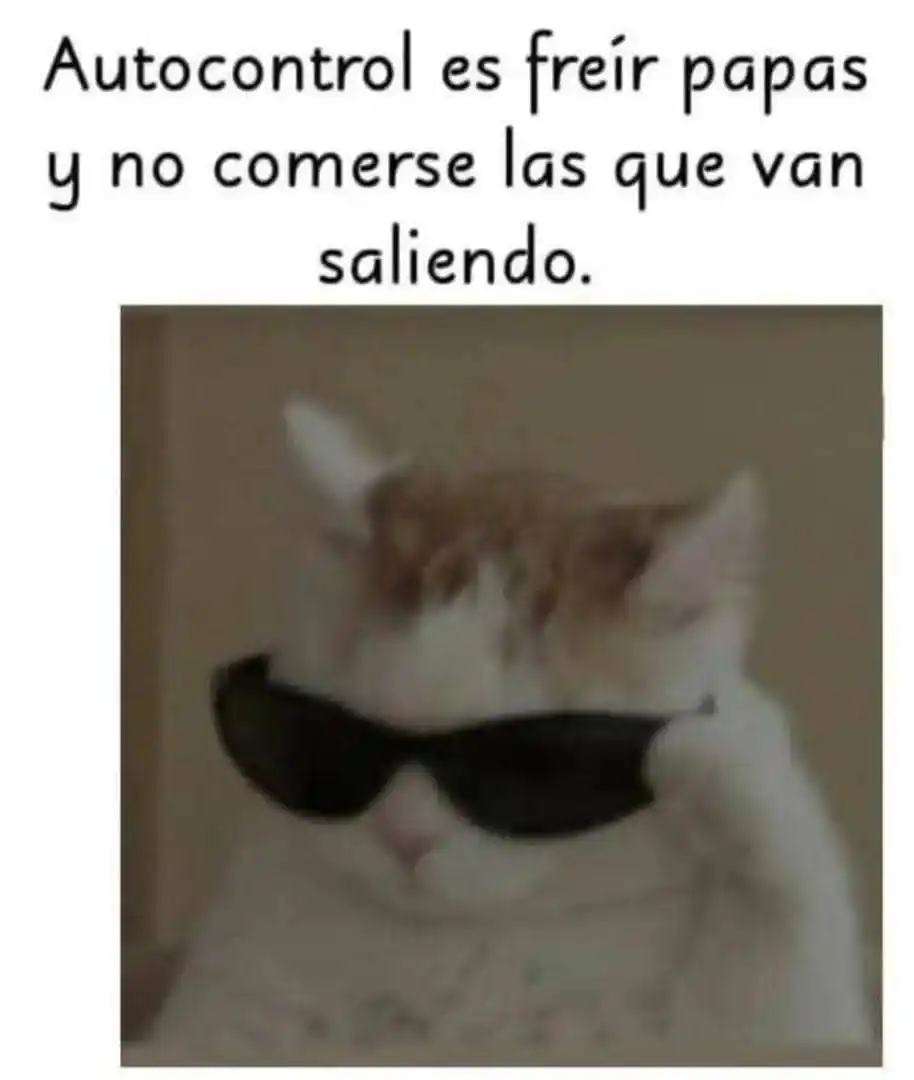 𝚂𝚃𝙸𝙲𝙺𝙴𝚁𝚂 & 𝚅𝙸𝙳𝙴𝙾𝚂 post